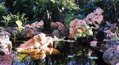 View from the end of the pond